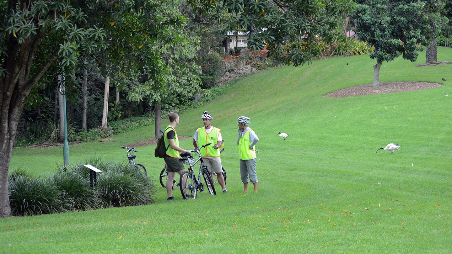 Queensland in Australien: Brissie per Bike Die Stadt lässt sich mit dem Fahrrad einfach erkunden, insbesondere durch die Fahrradwege auf beiden Ufern des Brisbane River. Für kurze Wege gibt es öffentliche Leihfahrräder, in Brisbane "City Cycle" genannt, die an festen Stationen entliehen und wieder abgegeben werden müssen. Zwei- bis vierstündige Touren mit Erklärungen zur Stadtgeschichte, durch die Parks und den Botanischen Garten (Foto) bieten Fiona und Steve von Brisbane Bicycle Tours. www.citycycle.com.au www.brisbanebicycletours.com.au Brissie per Bike Die Stadt lässt sich mit dem Fahrrad einfach erkunden, insbesondere durch die Fahrradwege auf beiden Ufern des Brisbane River. Für kurze Wege gibt es öffentliche Leihfahrräder, in Brisbane "City Cycle" genannt, die an festen Stationen entliehen und wieder abgegeben werden müssen. Zwei- bis vierstündige Touren mit Erklärungen zur Stadtgeschichte, durch die Parks und den Botanischen Garten (Foto) bieten Fiona und Steve von Brisbane Bicycle Tours. www.citycycle.com.au www.brisbanebicycletours.com.au