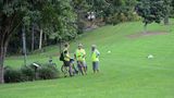 Brissie per Bike  Die Stadt lässt sich mit dem Fahrrad einfach erkunden, insbesondere durch die Fahrradwege auf beiden Ufern des Brisbane River. Für kurze Wege gibt es öffentliche Leihfahrräder, in Brisbane "City Cycle" genannt, die an festen Stationen entliehen und wieder abgegeben werden müssen. Zwei- bis vierstündige Touren mit Erklärungen zur Stadtgeschichte, durch die Parks und den Botanischen Garten (Foto) bieten Fiona und Steve von Brisbane Bicycle Tours.  www.citycycle.com.au  www.brisbanebicycletours.com.au