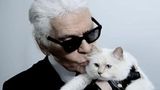 Karl Lagerfeld & Choupette