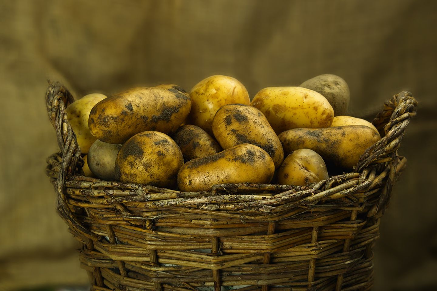 Kartoffeln haben durch eine Rekordernte einen regelrechten Preisverfall erlebt: 27 Prozent weniger müssen Kunden in diesem Jahr bezahlen. Übrigens stiegen die Preise für verarbeitete Kartoffelprodukte nur um 4,4 Prozent im Vergleich zum Vorjahr.