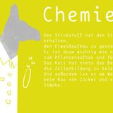 Blöde Sachen leicht gemerkt: 20 Eselsbrücken, die einem das Leben erleichtern