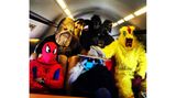Auf dem Weg zur Halloween-Party: "Somewhere over Ohio"