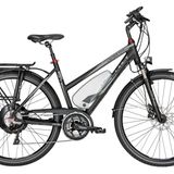 Doppel-Testsieger: Lifestyle-Pedeldec und Easy-Pedeldec       Bulls Greenmover Lavida Plus    Das Lavida überzeugt in der Stadt und als Tourenrad - die Reichweite beträgt stattliche 84 Kilometer. Der leise Motor von Alber ist ein weiteres Plus, dazu kommt ein überzeugendes Preis-Leistungsverhältnis.   Preis: 2799 Euro.  Bulls Greenmover Lavida Plus