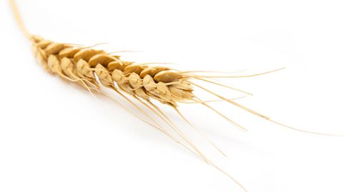 Wem kann Weizen schaden? Sind alte Weizenarten besser? Vier Fakten zum Korn.
