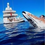 Unschuldige Badefreuden