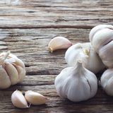 Knoblauch  Knoblauch mag es kühl, die Luft sollte aber zirkulieren. Deshalb gehört er nicht in den Kühlschrank. Lagern Sie ihn in einer Schale oder in der Vorratskammer. Wenn Sie zu viel davon haben, können Sie auch ganze Knollen einfrieren. Zwar färben sich die Zehen dadurch gelb, der Geschmack bleibt aber erhalten.