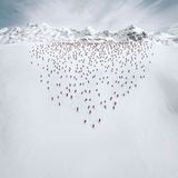 Choreografie im Schnee: "Der Keil" nennt Bösch die Inszenierung in Melchsee-Frutt im Kanton Oberwalden.