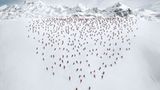 Choreografie im Schnee: "Der Keil" nennt Bösch die Inszenierung in Melchsee-Frutt im Kanton Oberwalden.