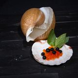 Seafood Cocktail  Ein Cocktail in einer Muschel - so weit, so gut. Aber um das Meer tatsächlich in die Bar zu holen, reicht das noch nicht. Und weil Fischeier nicht jedermanns Sache sind, kreieren wir unseren eigenen Kaviar. Um dann aber doch noch richtigen Fisch ins Spiel zu bringen, wird der Gin kurzerhand einer Aromatisierung mit Lachs unterzogen. Garantiert grätenfrei. Jetzt müssen Sie nur noch eine Muschel finden, aus der man auch trinken kann. Für den flüssigen Teil bietet sich dann doch eher das Gehäuse einer Meeresschnecke an.  Zutaten:  60ml Lachs-Thai-Basilikum-Gin*  30ml frisch gepresster Zitronensaft  20ml Läuterzucker  Trinkgefäß: Meeresschneckengehäuse, Muschel  Dazu: Crème de Mûre-Perlen*  Zubereitung: Alle Zutaten in den Shaker geben, mit Eiswürfeln auffüllen und schütteln. Den Drink in eine voluminöse Muschel (oder ein Gehäuse) abseihen und die Perlen by side in einer Muschel reichen.  *250g Lachs, 700ml Gin und 20 Blätter Thai-Basilikum in einen Vakuumbeutel geben, gut verschließen und für 70 Minuten bei 63°C ins Wasserbad legen. Anschließend durch ein Tuch passieren.  **300ml Crème de Mûre mit 1,5g Algin anrühren und kalt stellen. Anschließend die Flüssigkeit tropfenweise in ein Bad aus 3 Barlöffeln Calcic und 1l Wasser geben. Die sich bildenden Perlen werden herausgenommen und mit Wasser abgespült.