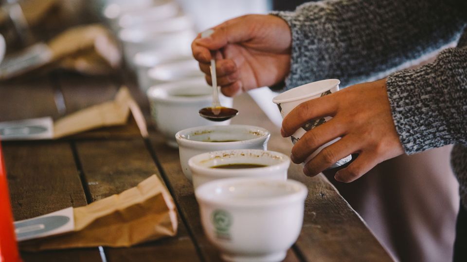 Für alle Kaffee-Genießer ist das Aroma Festival in Sydney ein Höhepunkt. Hier dreht sich alles nur um das Thema Kaffee.