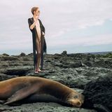 Dear Miss Darwin (Galapagos 2006)