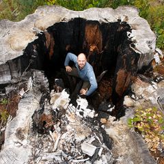 "Naturwunder Erde": Regenwald in Tasmanien: Jahrhunderte gewachsen, in Sekunden zerstört