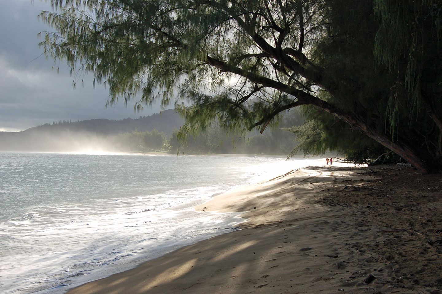 Hawaii-Inseln Oahu und Kauai: Napali Coast Weiter im Nordwesten der Nordküste reichen die Wälder bis ans Wasser, die Straßen werden schmaler, manche Brücke ist nur einspurig passierbar. Dörfer wie Princeville wirken wie Nobelorte für Aussteiger. Auf dem Parkplatz am Surferstrand steht ein Auto mit dem Aufkleber: "Regime change begins at home". Napali Coast Weiter im Nordwesten der Nordküste reichen die Wälder bis ans Wasser, die Straßen werden schmaler, manche Brücke ist nur einspurig passierbar. Dörfer wie Princeville wirken wie Nobelorte für Aussteiger. Auf dem Parkplatz am Surferstrand steht ein Auto mit dem Aufkleber: "Regime change begins at home".
