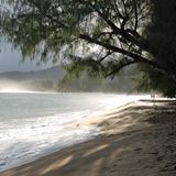 Napali Coast  Weiter im Nordwesten der Nordküste reichen die Wälder bis ans Wasser, die Straßen werden schmaler, manche Brücke ist nur einspurig passierbar. Dörfer wie Princeville wirken wie Nobelorte für Aussteiger. Auf dem Parkplatz am Surferstrand steht ein Auto mit dem Aufkleber: "Regime change begins at home".