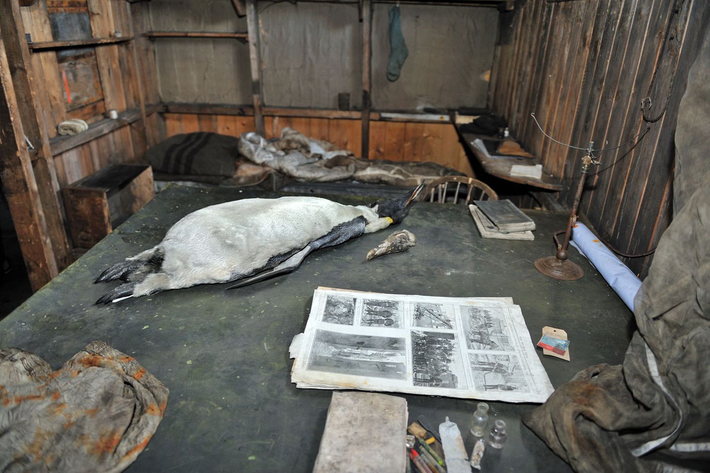 Durchs Südpolarmeer: Robert Scotts Arbeitstisch, das Bett mit Schlafsack im Hintergrund. "Nein, absolut kein Museum, nichts ist präpariert", erinnert sich Behrend. "Die Nähe raubt mir den Atem! Jedes kleinste Teil ist mit so viel Mühe, Entbehrung und Aufopferung hierhergebracht worden, die sich von uns nur erahnen lässt. Ich muss raus hier, bevor die durch die Geschichte fliegenden Gedanken zum Kurzschluss führen. Doch draußen sitzt schon eine Frau auf einem Stein, weinend, berührt, losgerissen. Später gelingt es mir, noch ein zweites Mal diesen Raum, diese Welt zu betreten." Robert Scotts Arbeitstisch, das Bett mit Schlafsack im Hintergrund. "Nein, absolut kein Museum, nichts ist präpariert", erinnert sich Behrend. "Die Nähe raubt mir den Atem! Jedes kleinste Teil ist mit so viel Mühe, Entbehrung und Aufopferung hierhergebracht worden, die sich von uns nur erahnen lässt. Ich muss raus hier, bevor die durch die Geschichte fliegenden Gedanken zum Kurzschluss führen. Doch draußen sitzt schon eine Frau auf einem Stein, weinend, berührt, losgerissen. Später gelingt es mir, noch ein zweites Mal diesen Raum, diese Welt zu betreten."