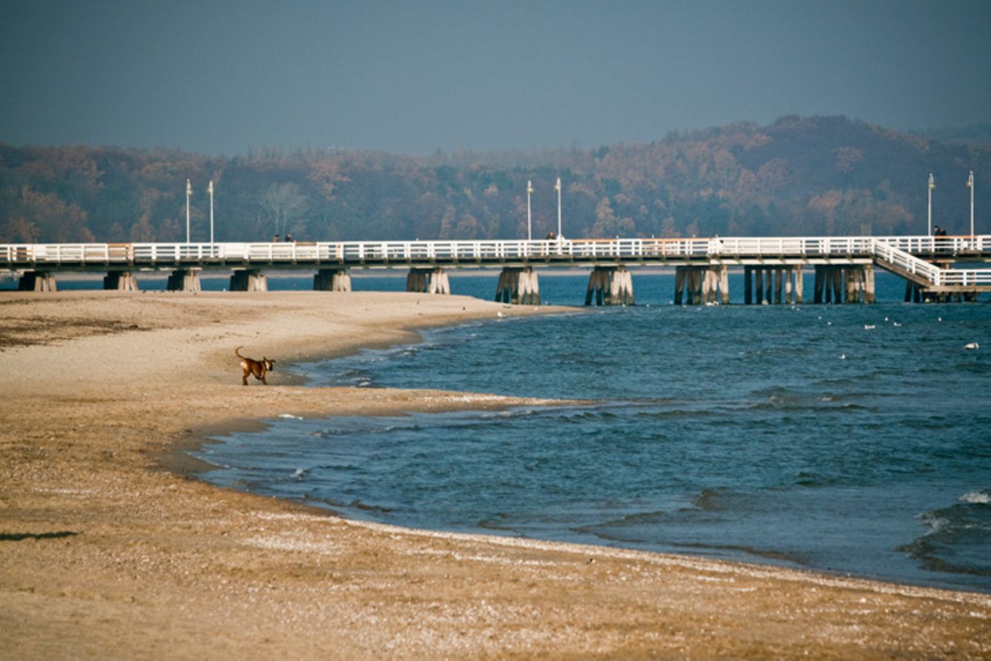 Die 500 Meter lange Seebrücke in Sopot verbindet mondänen Charme mit maritimem Leben. Auf dem Seeweg kann die Region auch mit Fähren erreicht werden