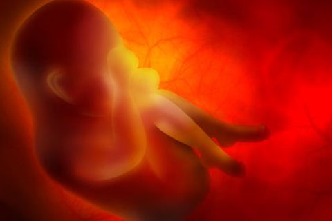 Mit einem einfachen Bluttest soll es schon bald möglich sein, Trisomie 21 beim Embryo festzustellen