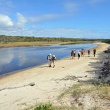 "Tassie", wie die Bewohner auch liebevoll ihr Land nennen, ist ein gezähmtes Australien - ohne mörderische Hitze, lebensfeindliche Wüsten, tropische Feuchtigkeit und Krokodile in den Gewässern. Das beruhigt beim Durchqueren der im Tasmanischen Meer mündenden Flüsse. Der Wasserstand des Deep Creek erweist sich glücklicherweise als gemäßigt.