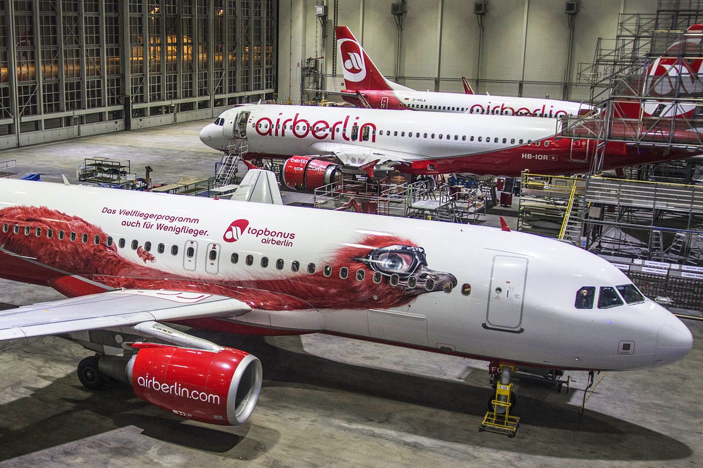 Ein roter Vogel mit Fliegerbrille klebt seit Ende Januar 2015 am Rumpf eines Airbus A320-200 von Air Berlin. "Milo" heißt das 22 Meter lange Geschöpf. Er möchte auf das Vielfliegerprogramm Top Bonus der Fluggesellschaft aufmerksam machen. Einziger Nachteil: Der riesige Vogel soll ein Strauß sein, ein Vogel, der bekanntlich nicht fliegen kann.