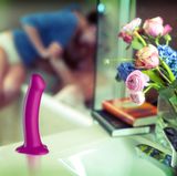 Wie heißt das?  Magnum  Ist das für Frauen oder Männer?  Geht für beide.  Wozu brauche ich das?   Der Standdildo ist zum Einführen in Scheide und Anus.  Wie glücklich macht mich das auf einer Skala von 1 bis 10 (10 ist sehr sehr glücklich)?   7. Der Magnum ist ein schönes Exemplar. Angenehm glatt, deshalb leicht einzuführen und optimale Größe (sein Name lässt auf was Überdimensionales schließen, Magnum ist aber einfach der Silikonnachbau eines perfekten, großen Penis - nicht zu dick.). Besonders die Standfunktion (glatter "Sockel", der aussieht als würde er sich ansaugen) hat mich interessiert. Auf dem Couchtisch hielt er nicht und so musste ich ihn doch festhalten. Beim Reinigen im Bad, habe ich aber noch eine glatte Kunststoffoberfläche gefunden und wenn der hält, macht's gleich mehr Spaß. Ohne den Steheffekt verliert er aber seinen Reiz - formschön ist er aber immer noch.   Was behaupte ich, wenn mein Kind/mein Freund/meine Putzfrau das findet?  Kind: "Das ist Kunst in Formvollendung - aus der Reihe "Menschliche Anatomie" von Jean Luc Gusto de Perignon van Kloeten! Die Farbe des Exponats passt nur nicht mehr zur Einrichtung, deshalb lass es bitte einfach in der Kiste."  Freund: "Das ist deine harte Konkurrenz, Babe!"  Putzfrau: siehe Little Paul  Würden meine Eltern das benutzen?   Weder zur Penetration noch als Ausstellungsstück!  Was kostet das?  49 Euro