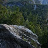 Hoch ragen die Bäume über die schroffen Felsen hinaus. Noch weiter oben weicht der Wald und die Vegetation wird alpin. Bodendecker und Sträucher dominieren auf einer Höhe von mehr als 2500 Metern im Franklin Gordon Wild Rivers Nationalpark, der im Westen des australischen Bundesstaates Tasmanien gelegen ist.  Für das Greenpeace-Fotoprojekt "Naturwunder Erde" hat der Fotograf Markus Mauthe vier Wochen lang Tasmanien bereist und unter anderem die Urwälder dort erkundet. Neben den höchsten Laubbäumen der Welt - den Riesen-Eukalypten - sind in Tasmanien auch uralte Baumarten beheimatet, die nur noch auf der Australien vorgelagerten Insel vorkommen: etwa die Huon-Pine, die mehr als 3000 Jahre alt werden kann. Oder die Celery-top-Pine, die extrem langsam wächst und ein Alter von 800 Jahren erreichen kann.  Sie alle sind stumme Zeugen einer weit zurückliegenden Vergangenheit, in der Australien, Südamerika, Afrika, Antarktika, Madagaskar und Indien einst den riesigen südlichen Urkontinent Gondwana bildeten. Die Baumarten, die heute in Tasmanien zu besichtigen sind, bedeckten bereits diesen Urkontinent, der vor etwa 100 Millionen Jahren auseinanderbrach.