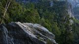 Hoch ragen die Bäume über die schroffen Felsen hinaus. Noch weiter oben weicht der Wald und die Vegetation wird alpin. Bodendecker und Sträucher dominieren auf einer Höhe von mehr als 2500 Metern im Franklin Gordon Wild Rivers Nationalpark, der im Westen des australischen Bundesstaates Tasmanien gelegen ist.  Für das Greenpeace-Fotoprojekt "Naturwunder Erde" hat der Fotograf Markus Mauthe vier Wochen lang Tasmanien bereist und unter anderem die Urwälder dort erkundet. Neben den höchsten Laubbäumen der Welt - den Riesen-Eukalypten - sind in Tasmanien auch uralte Baumarten beheimatet, die nur noch auf der Australien vorgelagerten Insel vorkommen: etwa die Huon-Pine, die mehr als 3000 Jahre alt werden kann. Oder die Celery-top-Pine, die extrem langsam wächst und ein Alter von 800 Jahren erreichen kann.  Sie alle sind stumme Zeugen einer weit zurückliegenden Vergangenheit, in der Australien, Südamerika, Afrika, Antarktika, Madagaskar und Indien einst den riesigen südlichen Urkontinent Gondwana bildeten. Die Baumarten, die heute in Tasmanien zu besichtigen sind, bedeckten bereits diesen Urkontinent, der vor etwa 100 Millionen Jahren auseinanderbrach.