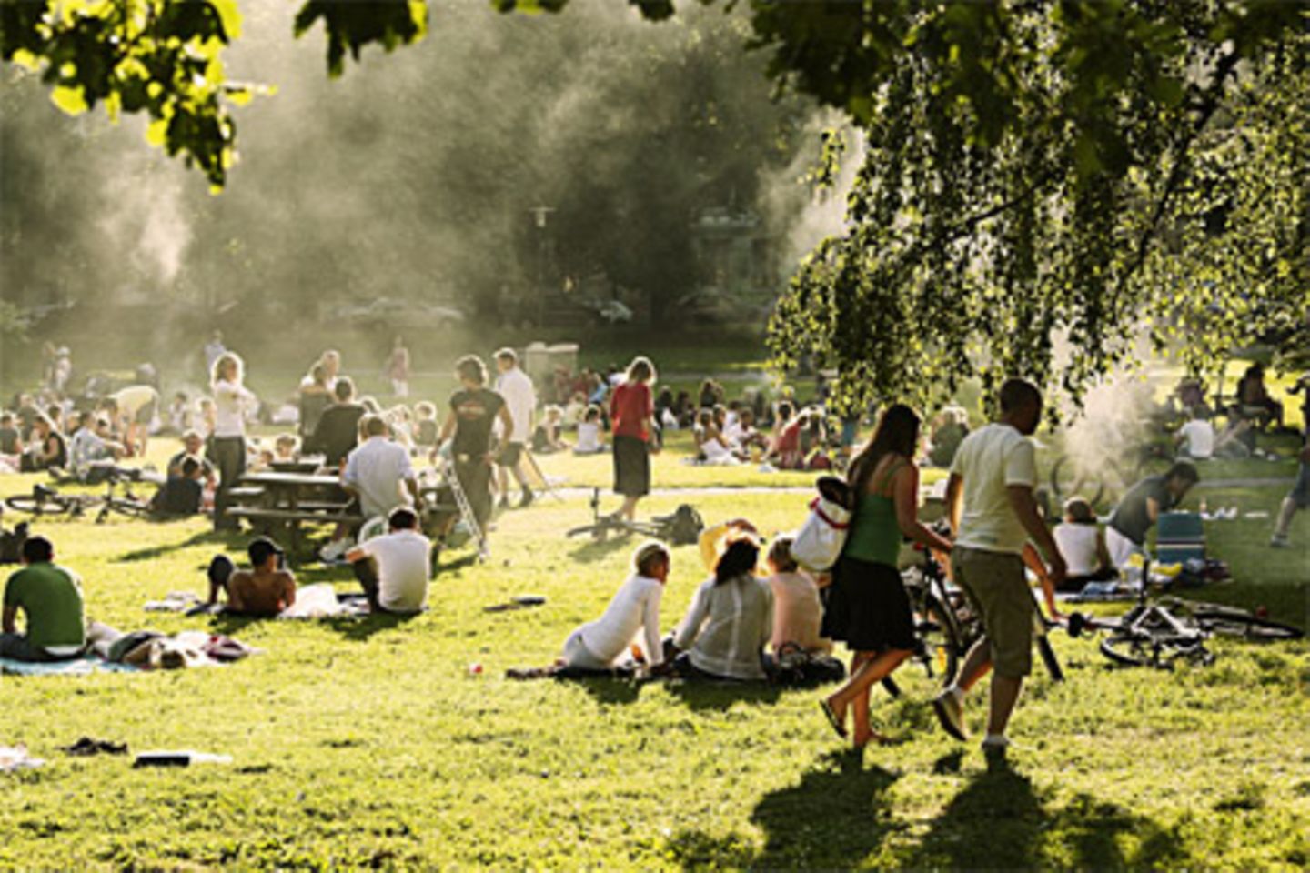 Griller im Nebel - steigen die Temperaturen bricht auf vielen öffentlichen Grünflächen das Grillfieber aus