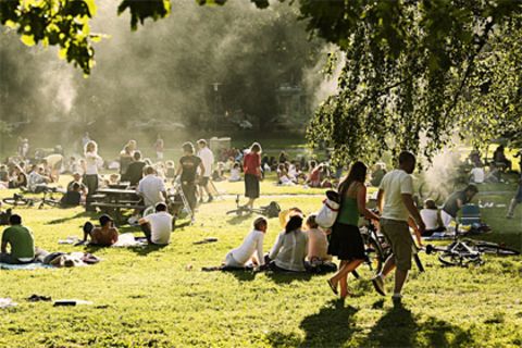 Griller im Nebel - steigen die Temperaturen bricht auf vielen öffentlichen Grünflächen das Grillfieber aus