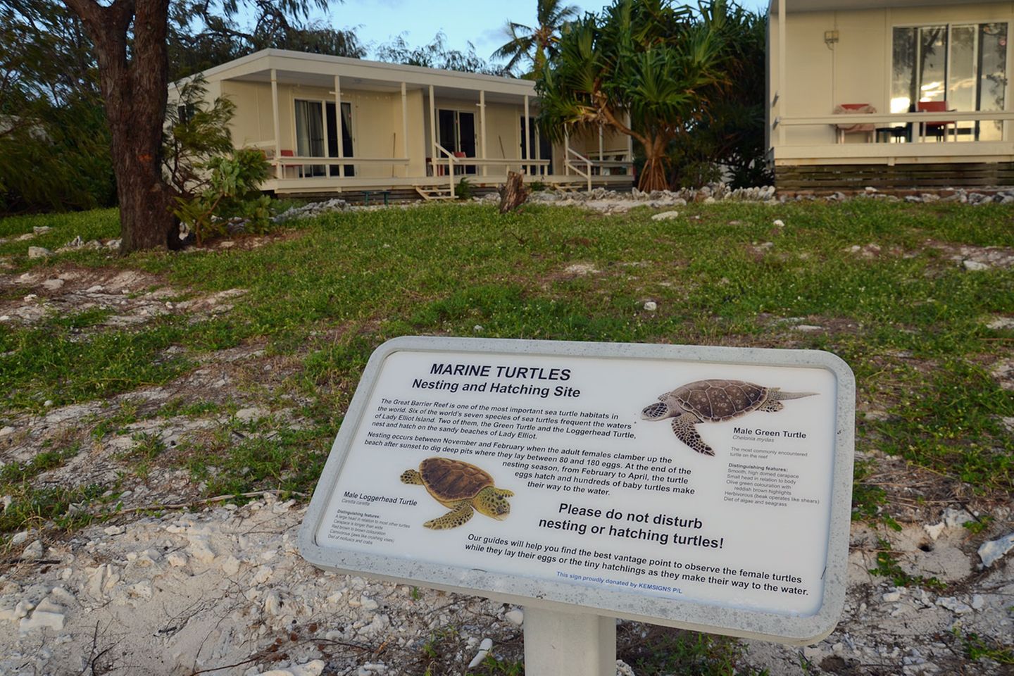 Doch es gibt auch Zelte und einfache Bungalows für Besucher, die einige Tage in der Abgeschiedenheit ohne jeglichen Handyempfang verbringen möchten. Die Insel gehört zum Great Barrier Reef Marine Park und ist in den australischen Sommermonaten ein wichtiger Eiablageplatz für die Unechte Karettschildkröte und die grüne Meeressschildkröte, die im Deutschen auch Suppenschildkröte genannt wird. Die Gelege mit jeweils 100 bis 200 Eiern werden markiert: "Don't step here."