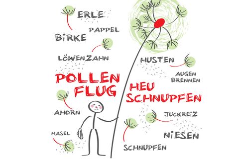 Die Pollensaison beginnt immer früher und endet später. Fast das ganze Jahr hindurch liegt mittlerweile was in der Luft.