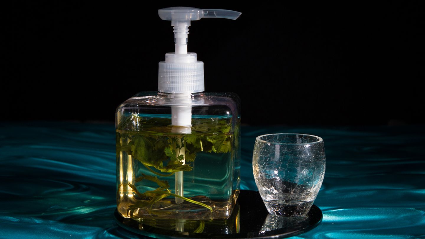 Rachenputzer  Tequila-Shot-Rituale haben meist nicht allzu viel mit gehobener Barkultur gemein. Dabei hat die verbindende Gemeinsamkeit des Trinkens auf beiden Seiten seinen Reiz. Insbesondere wenn sich der Drink für die ganze Runde komfortabel am Tisch "zapfen" lässt. Und auch das schöne deutsche Wort "Rachenputzer" erhält angesichts des Seifenspenders eine ganz neue Qualität.  Zutaten:  1 Liter Tequila Reposado  1 Bund Koriander  Trinkgefäß: Seifenspender, Shotglas  Zubereitung: Einen Bund Koriander in 1 Liter Don Julio Reposado einlegen. Bereits nach ein paar Stunden gibt der Koriander sein Aroma an den Tequila ab. Die Mischung in einen Seifenspender geben.