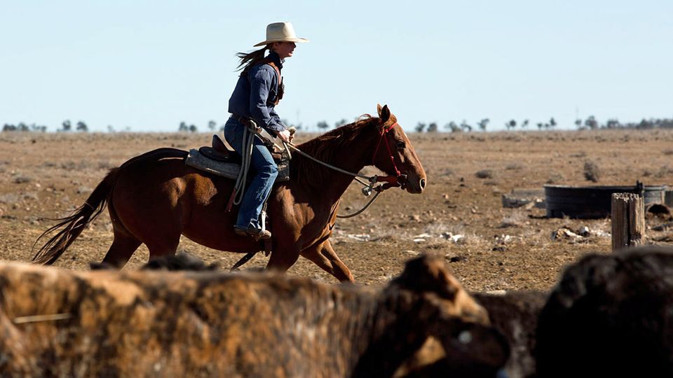 Frauen im Outback: Unterwegs mit Australiens Cowgirls
