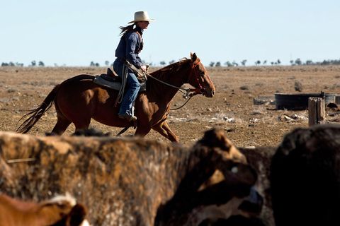 Frauen im Outback: Unterwegs mit Australiens Cowgirls