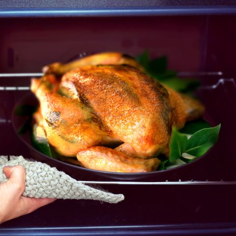 Sie darf bei vielen an Weihnachten nicht fehlen: Die Pute. Doch was bedeutet die Vogelgrippe für unser Festtagsmahl?