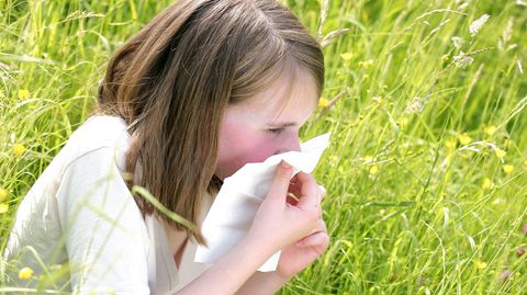 Steigen die Temperaturen, fliegen auch die Pollen wieder vermehrt durch die Luft. Für Heuschnupfenpatienten beginnt dann die Leidenszeit