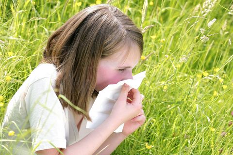 Steigen die Temperaturen, fliegen auch die Pollen wieder vermehrt durch die Luft. Für Heuschnupfenpatienten beginnt dann die Leidenszeit