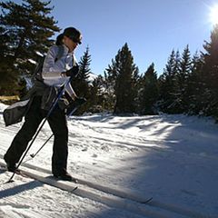 Bevor es auf die Strecke geht sollten sich Langlaufbegeisterte zuvor im Sportfachhandel gut beraten lassen