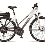 Testsieger: Familiie       Giant Twist Aspiro    Das Aspero ist kräftig genug für einen Anhänger. Gute Laufeigenschaften und ein verhältnismäßig günstiger Preis machen das Giant-Rad für Familien interessant.  Preis: 2099 Euro