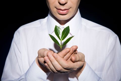 Unser Hausarzt staunt über die sensible und redselige Seite der Pflanzenwelt. Um den Ruf der Wildnis hören zu können, müsste er allerdings einen besseren Riecher haben