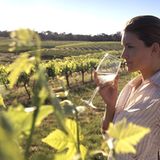In den meernahen Weinanbaugebieten von South Australia herrscht ein ausgeglichenes Mikroklima, besser noch als im bekannten Barossa Valley. Denn durch die Nähe zum Pazifik verschont die kontinuierliche Meeresbrise die reifenden Trauben vor allzu großer Hitze im australischen Sommer