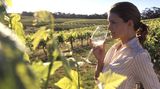 In den meernahen Weinanbaugebieten von South Australia herrscht ein ausgeglichenes Mikroklima, besser noch als im bekannten Barossa Valley. Denn durch die Nähe zum Pazifik verschont die kontinuierliche Meeresbrise die reifenden Trauben vor allzu großer Hitze im australischen Sommer