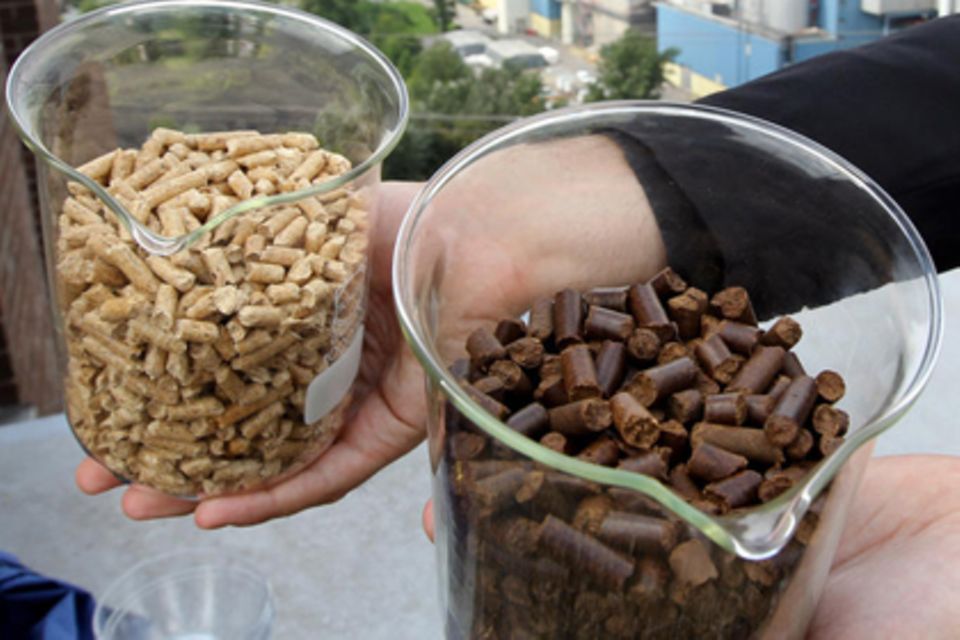 Modernisierung alter Heizanlagen: Biomasse wird verstärkt auch zum Heizen genutzt. Am verbreiteten sind Heizkessel, die mit Holzpellets befeuert werden Biomasse wird verstärkt auch zum Heizen genutzt. Am verbreiteten sind Heizkessel, die mit Holzpellets befeuert werden