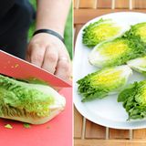 Den Römersalat gründlich waschen, die äußeren Blätter entfernen und dann möglichst genau in der Mitte teilen.