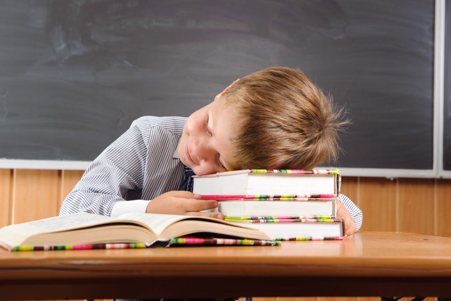 Auf Büchern die Zeit verschlafen? Deutschland braucht dringend mehr Informatikunterricht.