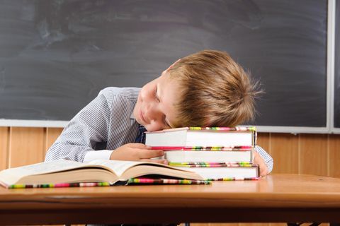 Auf Büchern die Zeit verschlafen? Deutschland braucht dringend mehr Informatikunterricht.