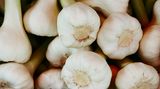 Knoblauch fängt im Kühlschrank an zu sprießen, wird gummiartig und schimmelt letztendlich. Deshalb: Knoblauch gehört nicht in den Kühlschrank.