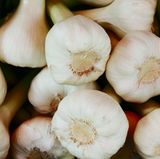 Knoblauch fängt im Kühlschrank an zu sprießen, wird gummiartig und schimmelt letztendlich. Deshalb: Knoblauch gehört nicht in den Kühlschrank.
