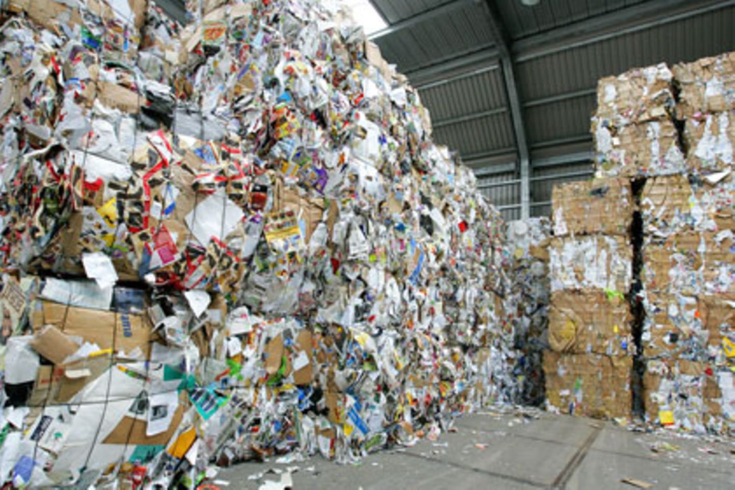 Umweltfreundliches Recyceln: Bis unter die Decke stapelt sich das Altpapier. Doch Giftstoffe aus recycelter Pappe können in Lebensmittel übergehen.