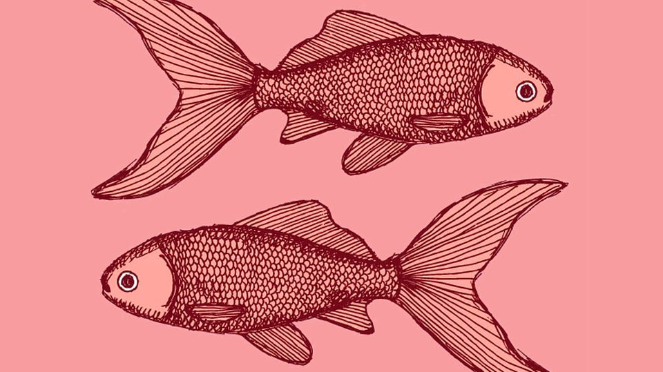 Das "Brigitte"-Jahreshoroskop 2015: Auf Fische wartet 2015 ein wilder Mix in der Liebe Auf Fische wartet 2015 ein wilder Mix in der Liebe