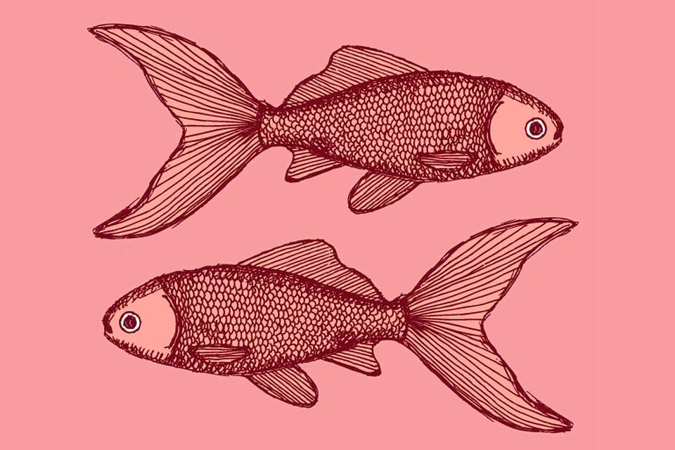 Das "Brigitte"-Jahreshoroskop 2015: Auf Fische wartet 2015 ein wilder Mix in der Liebe Auf Fische wartet 2015 ein wilder Mix in der Liebe